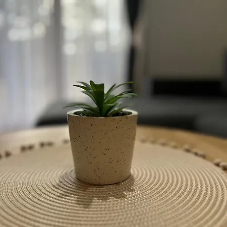 Apartamento Royal Chill Zlatibor